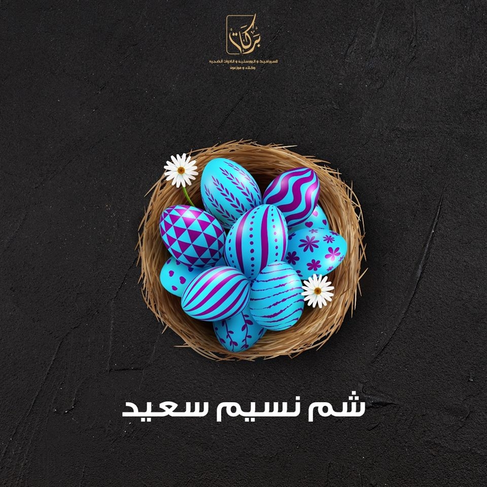 Barakat Ceramics - Event Image 16